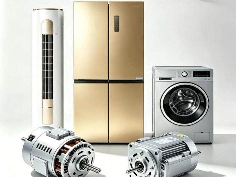 Magnet for DC Variable-frequencymotors&Home appliances